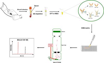 MALDI-TOF-MS for rapid screening analysis of M-protein in serum